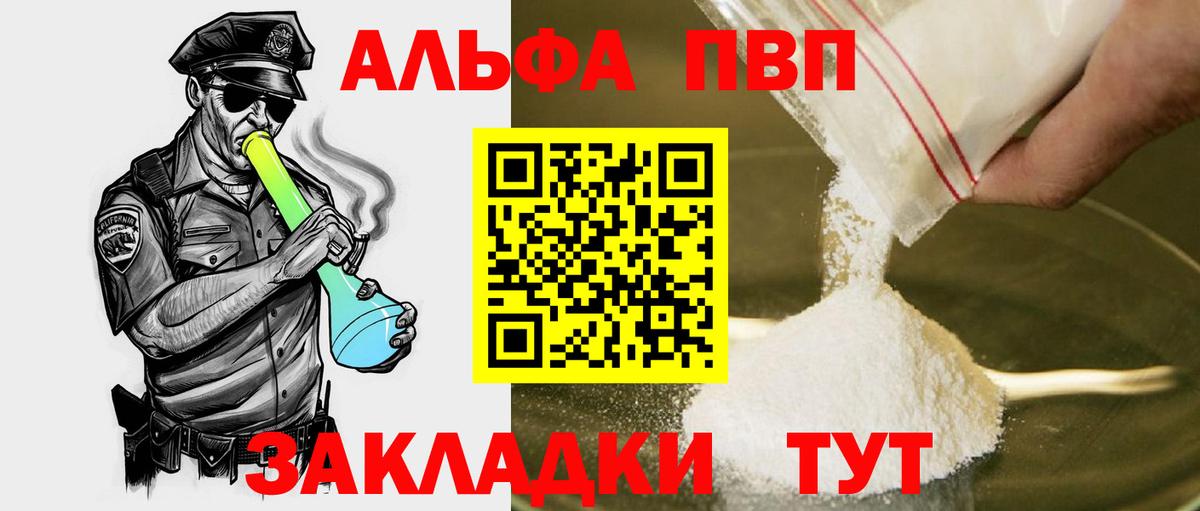 A-PVP СК КРИС Горно-Алтайск