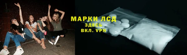 сатива Горнозаводск