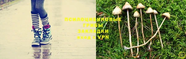 сатива Горнозаводск