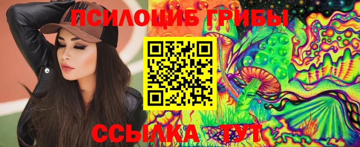 Галлюциногенные грибы мицелий  Горно-Алтайск 