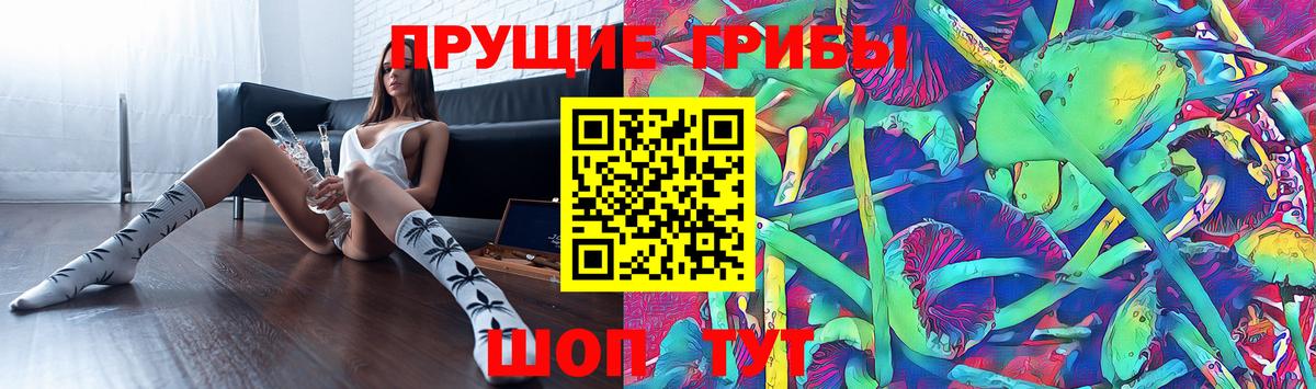 Горно-Алтайск  цены   Вход с VPN  Псилоцибиновые грибы Magic Shrooms 