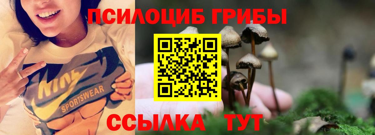 Галлюциногенные грибы GOLDEN TEACHER Горно-Алтайск